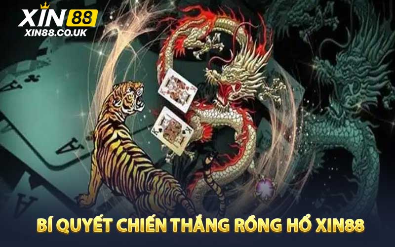 Bí quyết chiến thắng rồng hổ XIN88 cho tân thủ