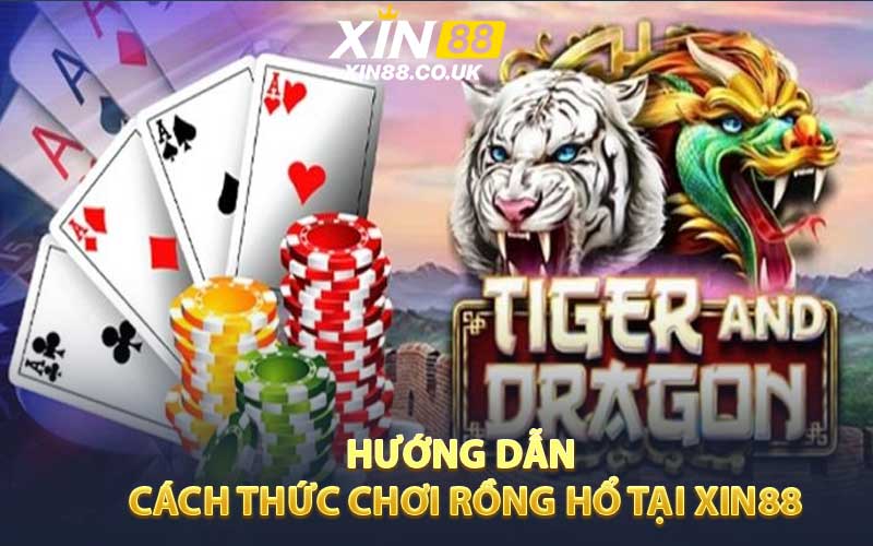 Hướng dẫn cách thức chơi rồng hổ tại XIN88