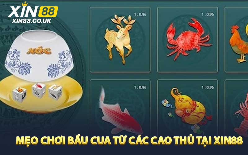 Mẹo chơi bầu cua từ các cao thủ tại XIN88