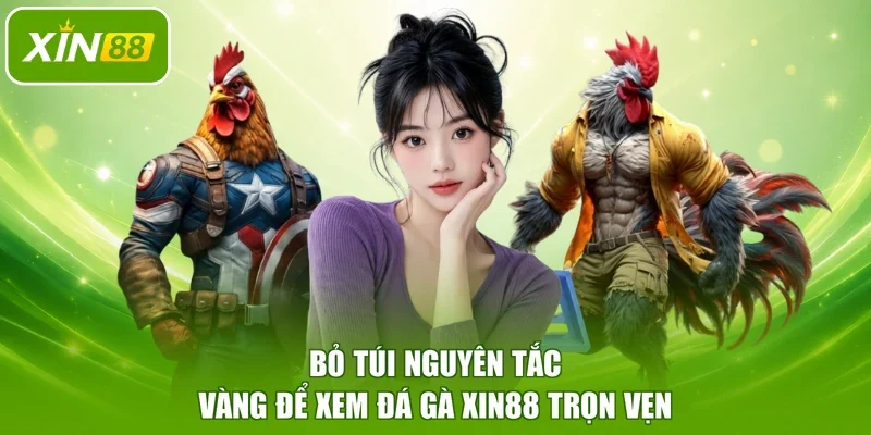 Bỏ túi nguyên tắc vàng để xem đá gà XIN88 trọn vẹn