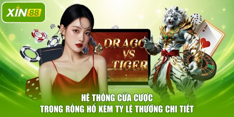 Hệ thống cửa cược trong Rồng Hổ kèm tỷ lệ thưởng chi tiết