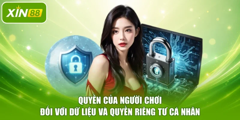 Quyền của người chơi đối với dữ liệu và quyền riêng tư cá nhân