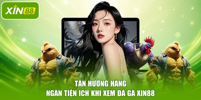 Tận hưởng hàng ngàn tiện ích khi xem đá gà XIN88